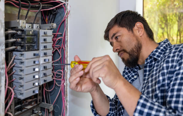 Best Electric Panel Repair  in Northwood, IA